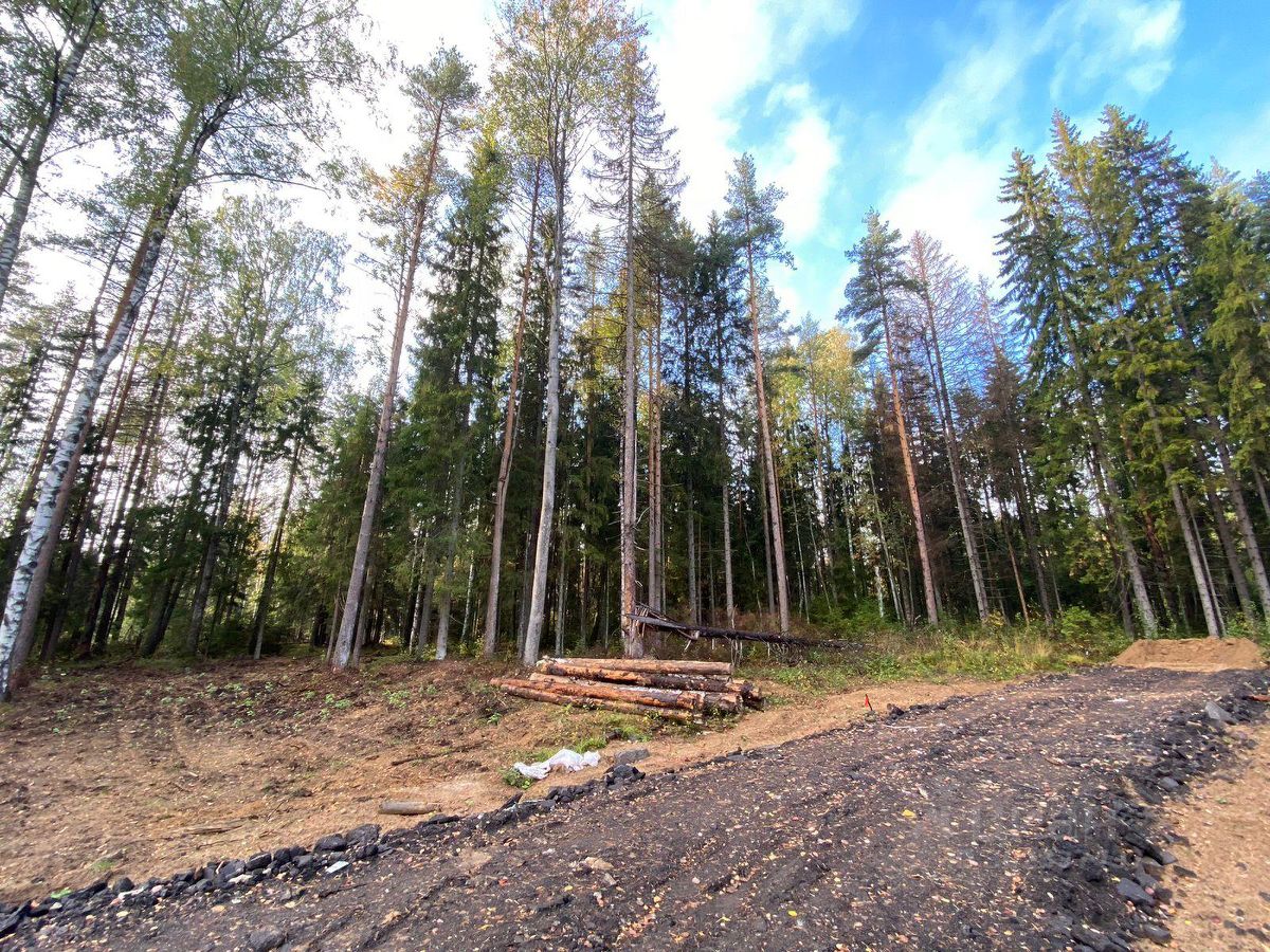 Купить земельный участок в СНТ Медное Озеро-3 в городе Сертолово, продажа  земельных участков - база объявлений Циан. Найдено 4 объявления