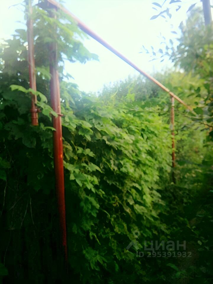Участок 610 кв.м в Барнауле. Зеленая территория, подходящая для строительства. Тихий район, хорошая экология.