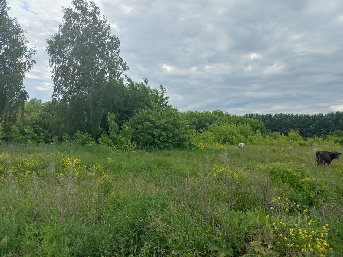 Купить загородную недвижимость в селе Мизиново Зеленодольского района,  продажа загородной недвижимости - база объявлений Циан. Найдено 5 объявлений