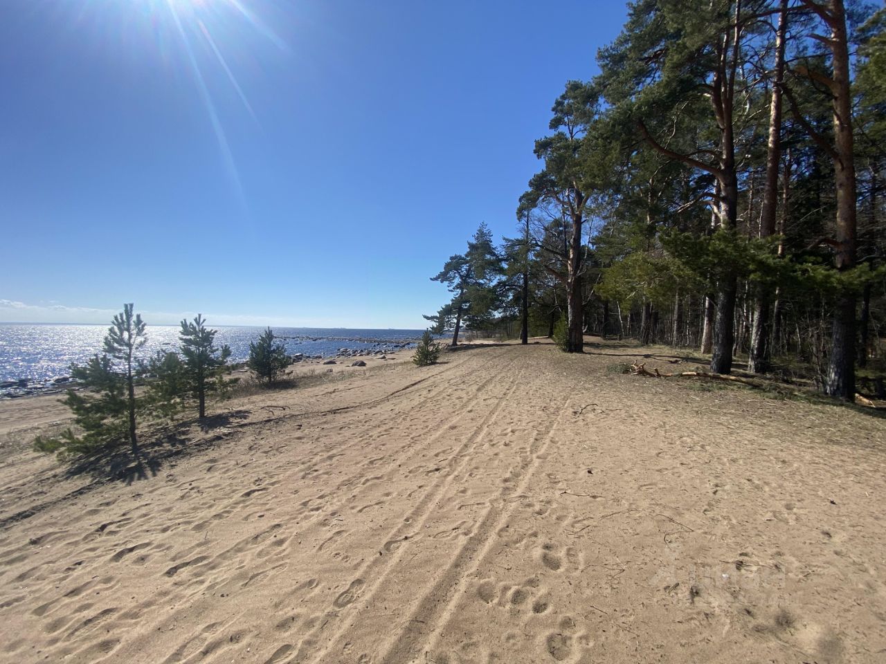 Купить загородную недвижимость в поселке Молодежное в Санкт-Петербурге,  продажа загородной недвижимости - база объявлений Циан. Найдено 2 объявления