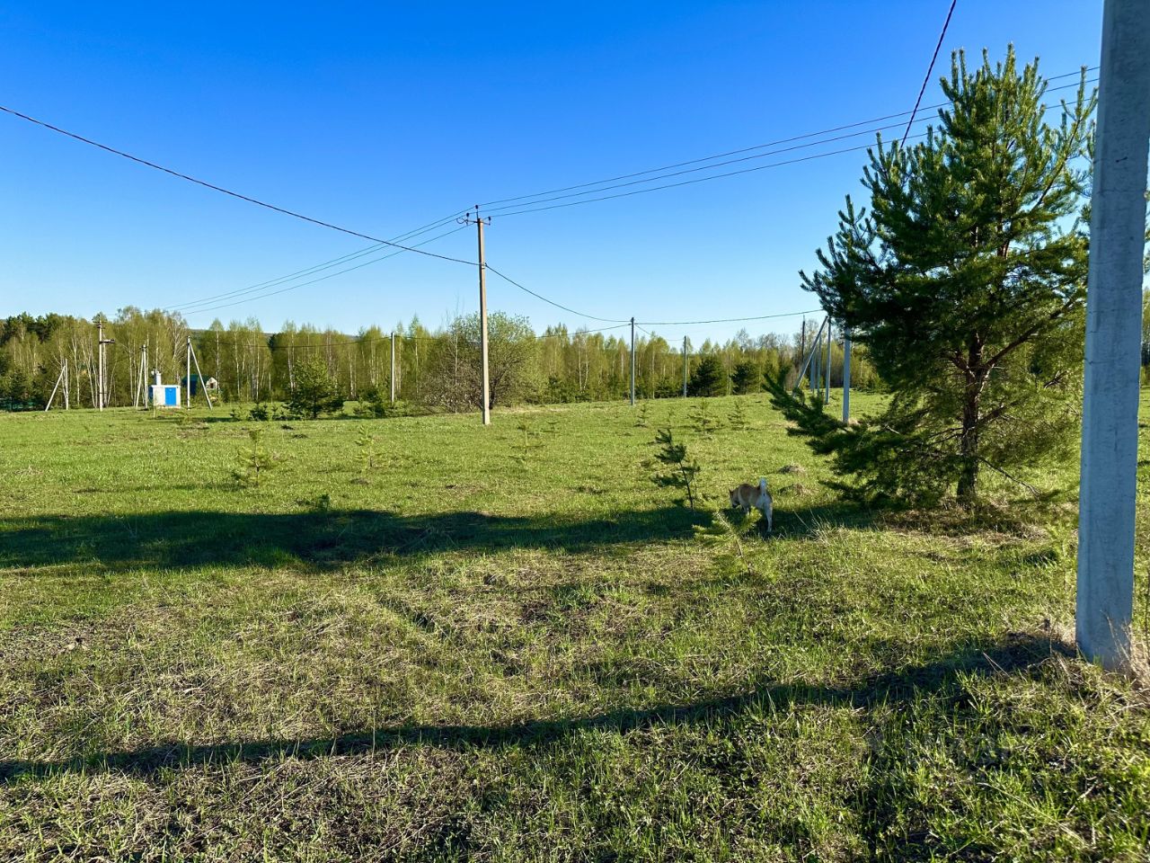 Купить земельный участок в городском поселении Морки республики Марий Эл,  продажа земельных участков - база объявлений Циан. Найдено 4 объявления