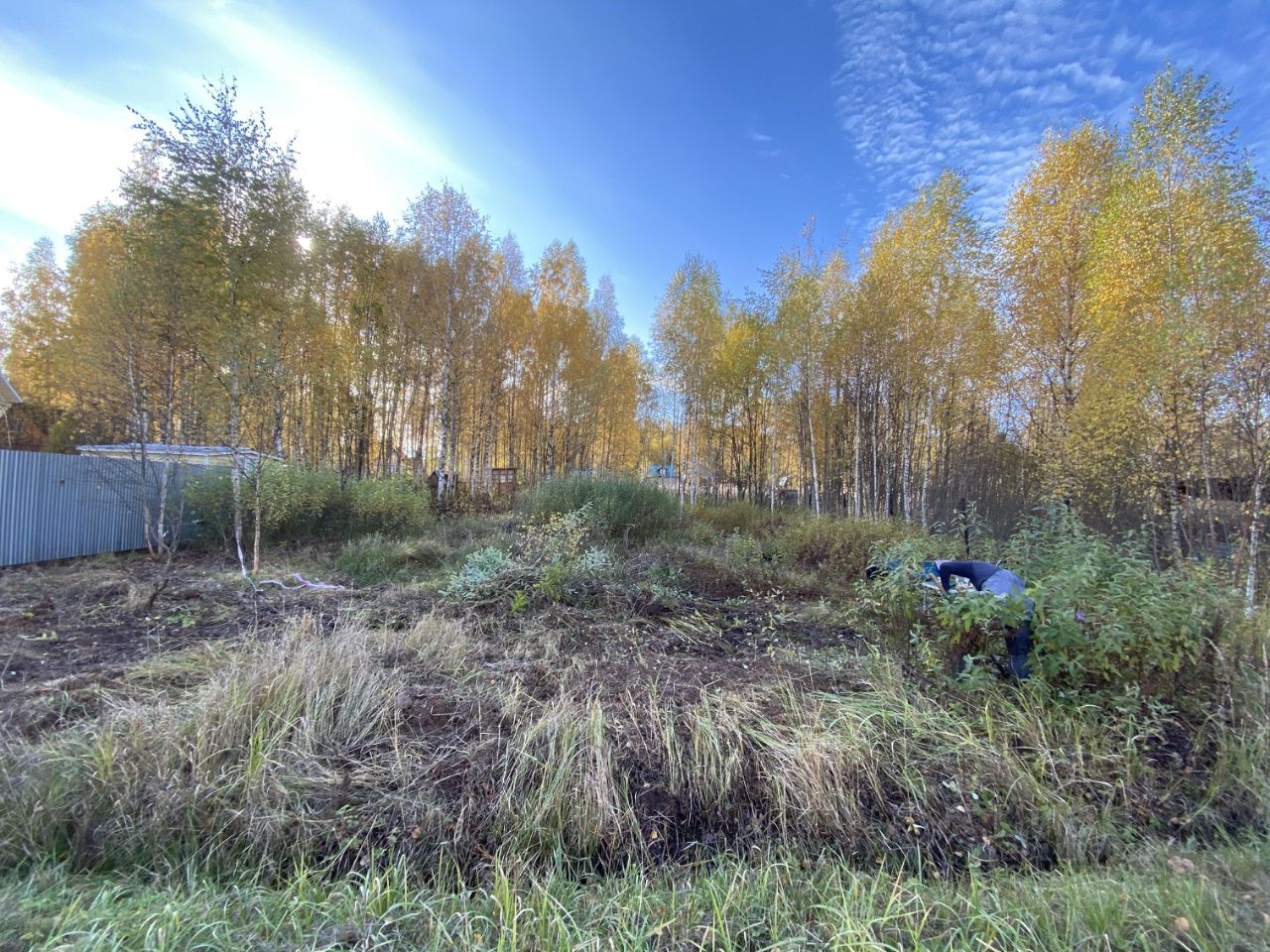 Купить земельный участок в СНТ Надежда городского округа Можайского,  продажа земельных участков - база объявлений Циан. Найдено 1 объявление