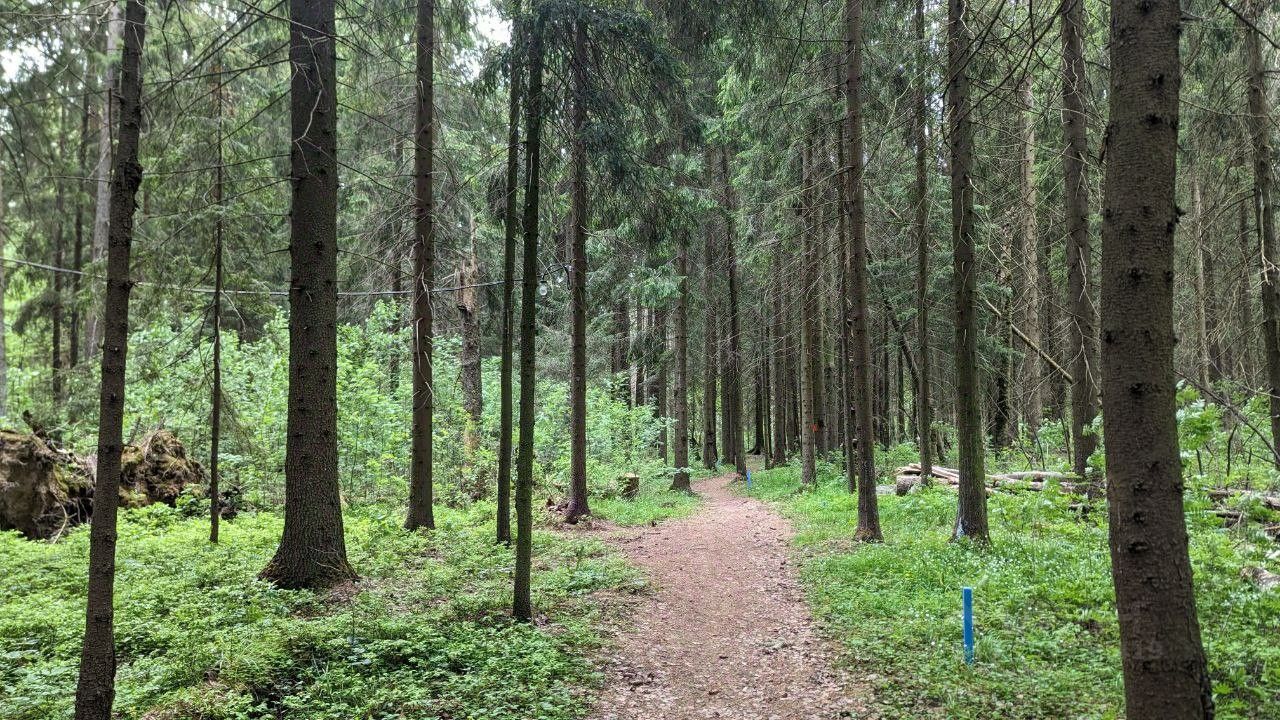 Купить загородную недвижимость в коттеджном поселке Никольское-Лесное  городского округа Солнечногорска, продажа загородной недвижимости - база  объявлений Циан. Найдено 9 объявлений