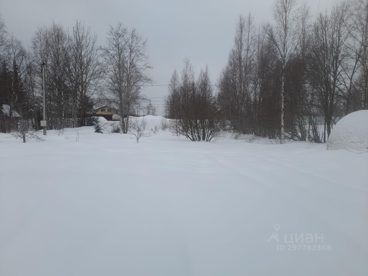 Участок В Нижних Осельках Купить