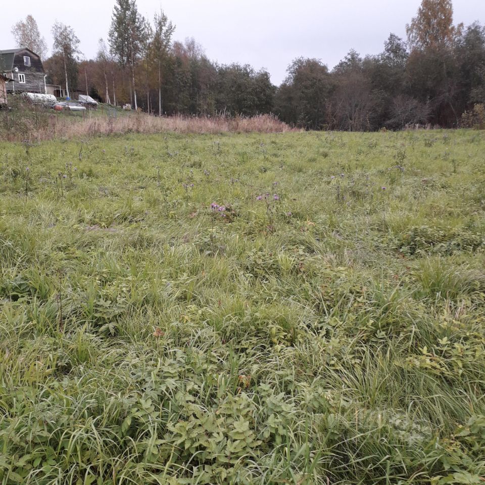 Купить загородную недвижимость в деревне Низино Волховского района, продажа  загородной недвижимости - база объявлений Циан. Найдено 3 объявления