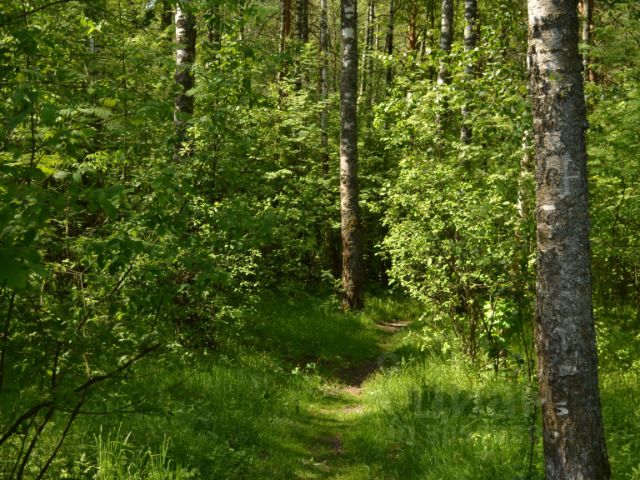 Земельные участки у воды в Подмосковье и прилегающих областях