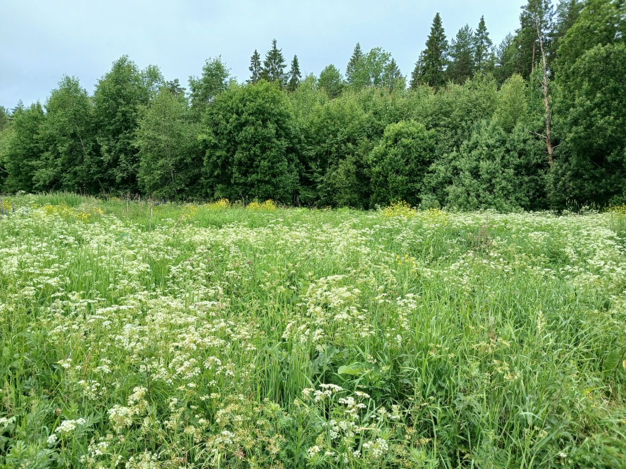 Купить загородную недвижимость в сельском поселении Мелегежское Тихвинского  района, продажа загородной недвижимости - база объявлений Циан. Найдено 2  объявления