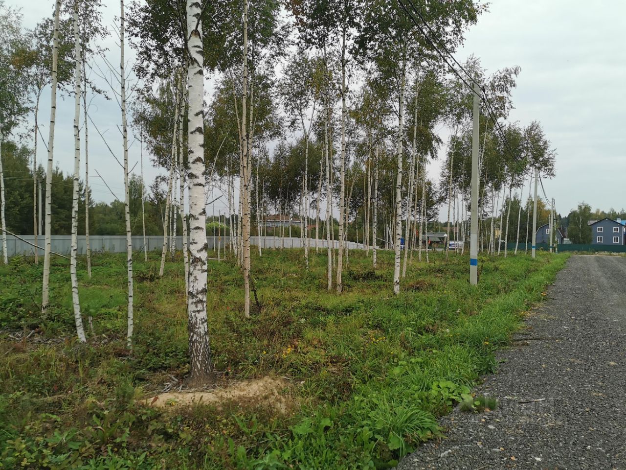 Купить участок 6,2сот. Московская область, Дмитровский городской округ, Новое  Гришино поселок - база ЦИАН, объявление 299206593