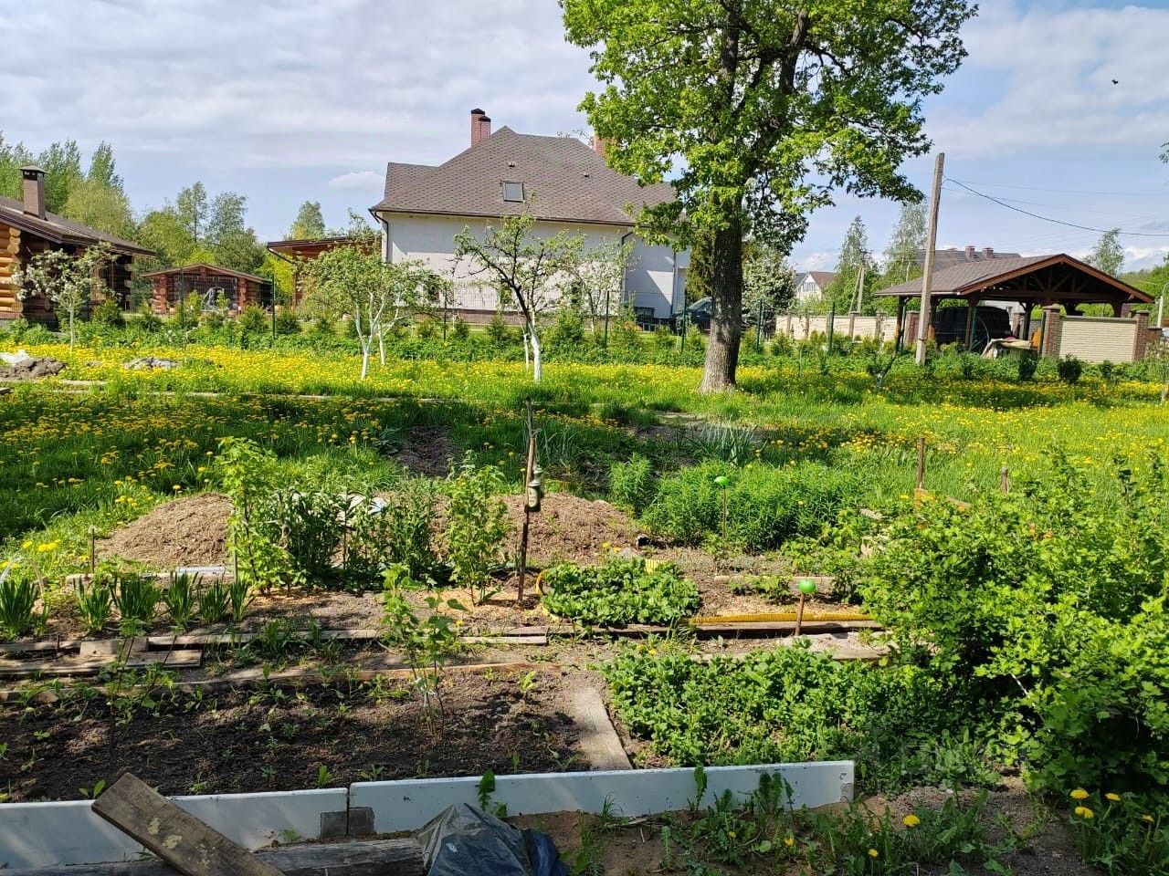 Купить земельный участок в деревне Новое Кунино Новгородского района,  продажа земельных участков - база объявлений Циан. Найдено 5 объявлений