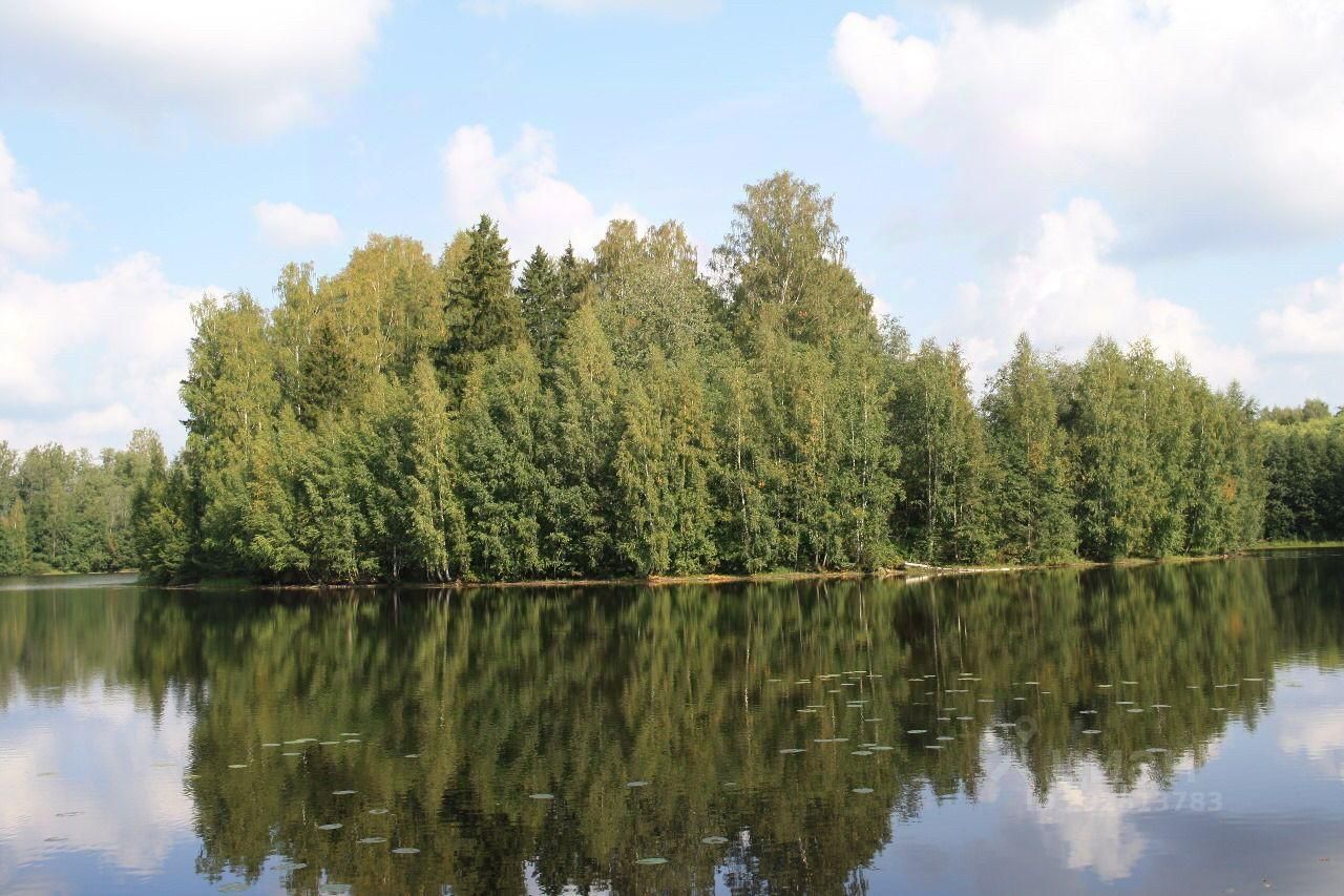 Купить земельный участок на улице Нежности в поселке Новое Токсово в  городском поселении Токсовское, продажа земельных участков - база  объявлений Циан. Найдено 1 объявление