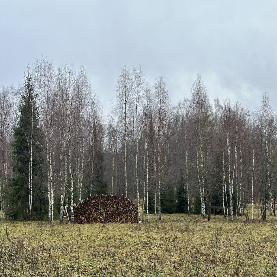 Купить загородную недвижимость в деревне Новониколаево Московской области,  продажа загородной недвижимости - база объявлений Циан. Найдено 1 объявление