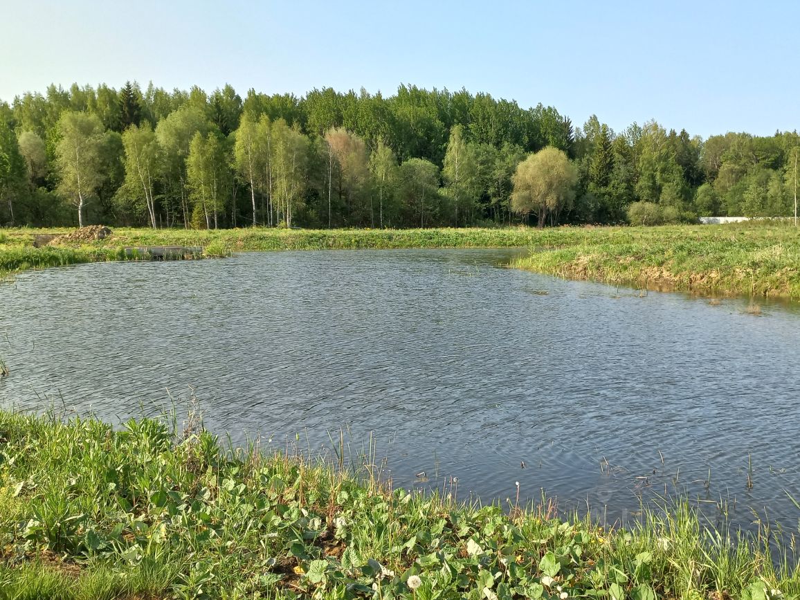 Купить земельный участок в СНТ Новорижская Деревенька городского округа  Шаховской, продажа земельных участков - база объявлений Циан. Найдено 12  объявлений