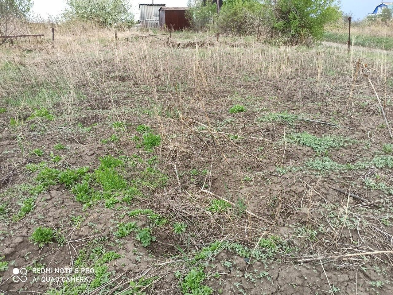 Купить земельный участок в деревне Чик Коченевского района, продажа  земельных участков - база объявлений Циан. Найдено 3 объявления