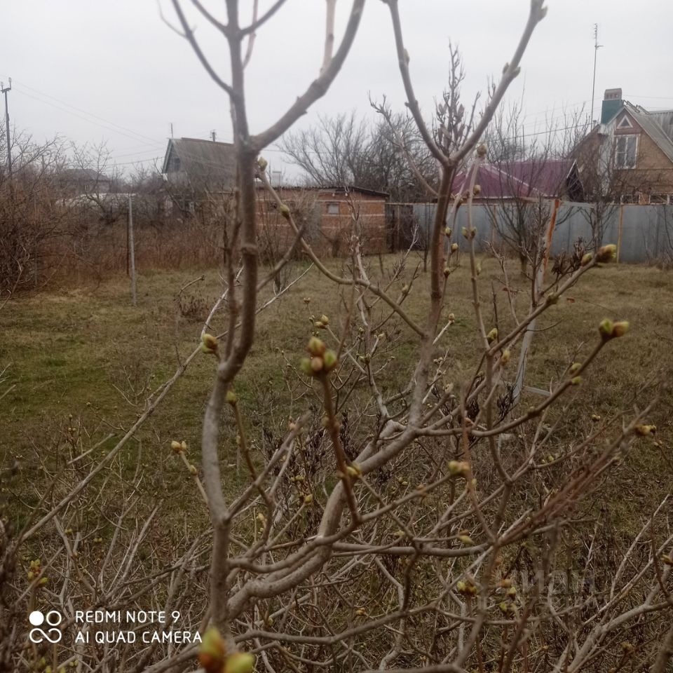 Купить загородную недвижимость в станице Новозолотовская Семикаракорского  района, продажа загородной недвижимости - база объявлений Циан. Найдено 5  объявлений