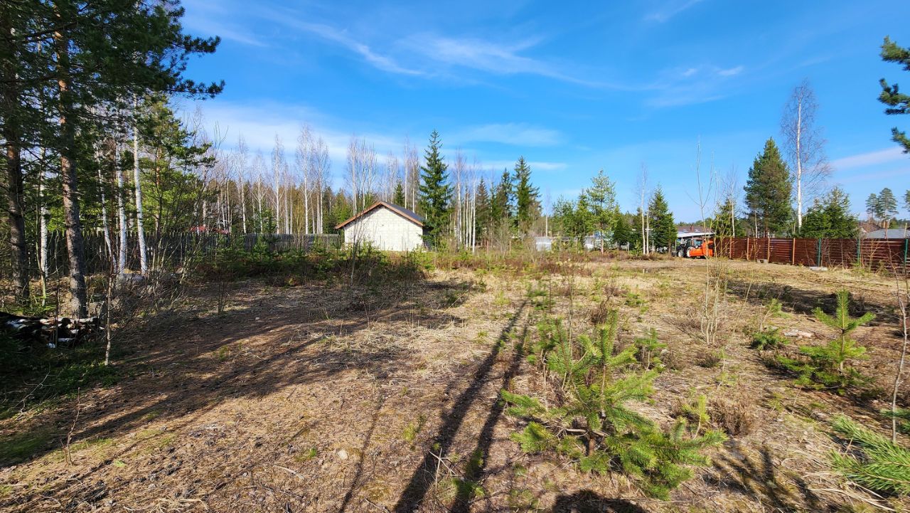 Купить земельный участок в ДНП Омега в городе Сертолово, продажа земельных  участков - база объявлений Циан. Найдено 1 объявление