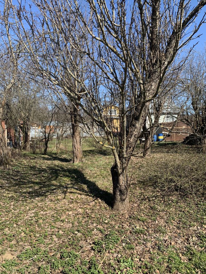 Участок в Владимирская область, Владимир Омшаное СНТ, 66 (5.0 сот.)