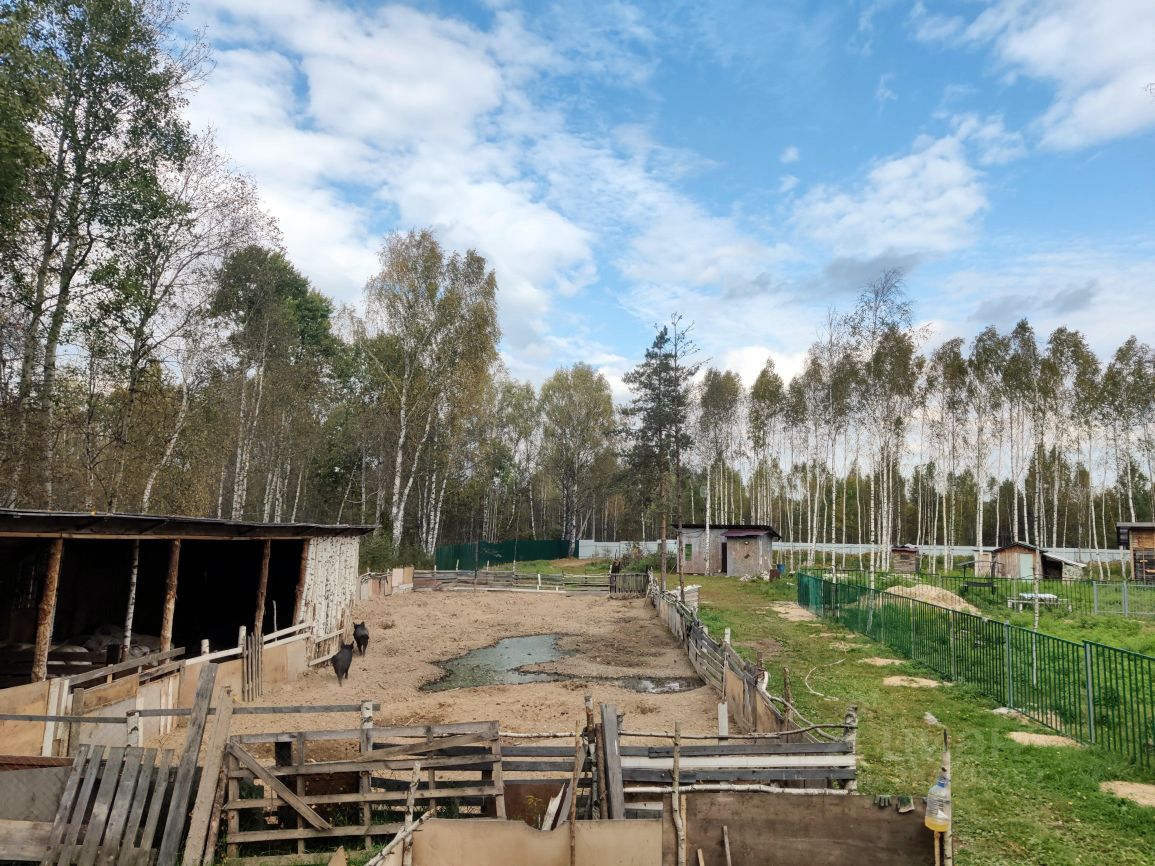 Купить земельный участок в деревне Орлово Нижегородской области, продажа  земельных участков - база объявлений Циан. Найдено 4 объявления