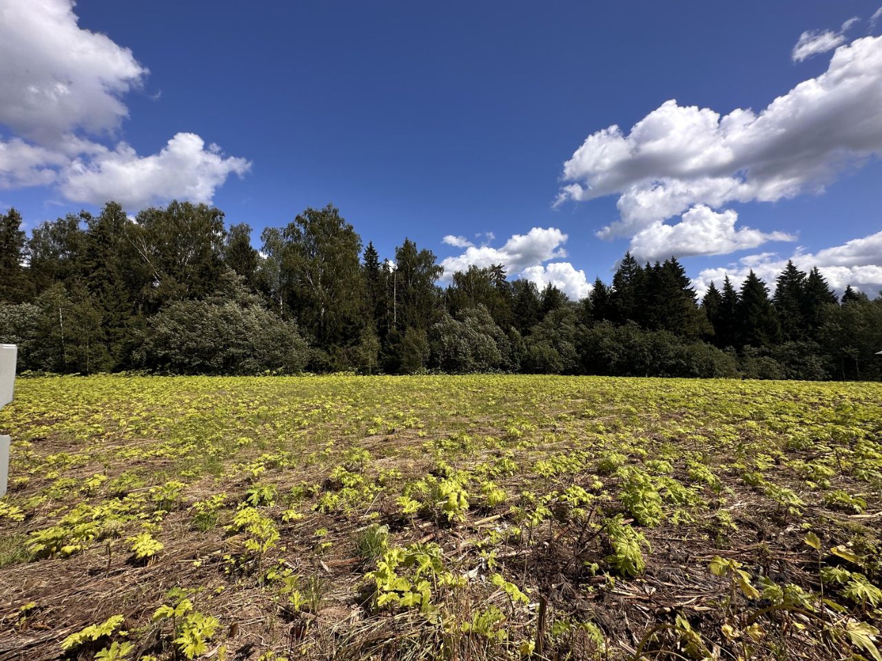 Продажа участка 16.4сот. Московская область, Дмитровский городской ...