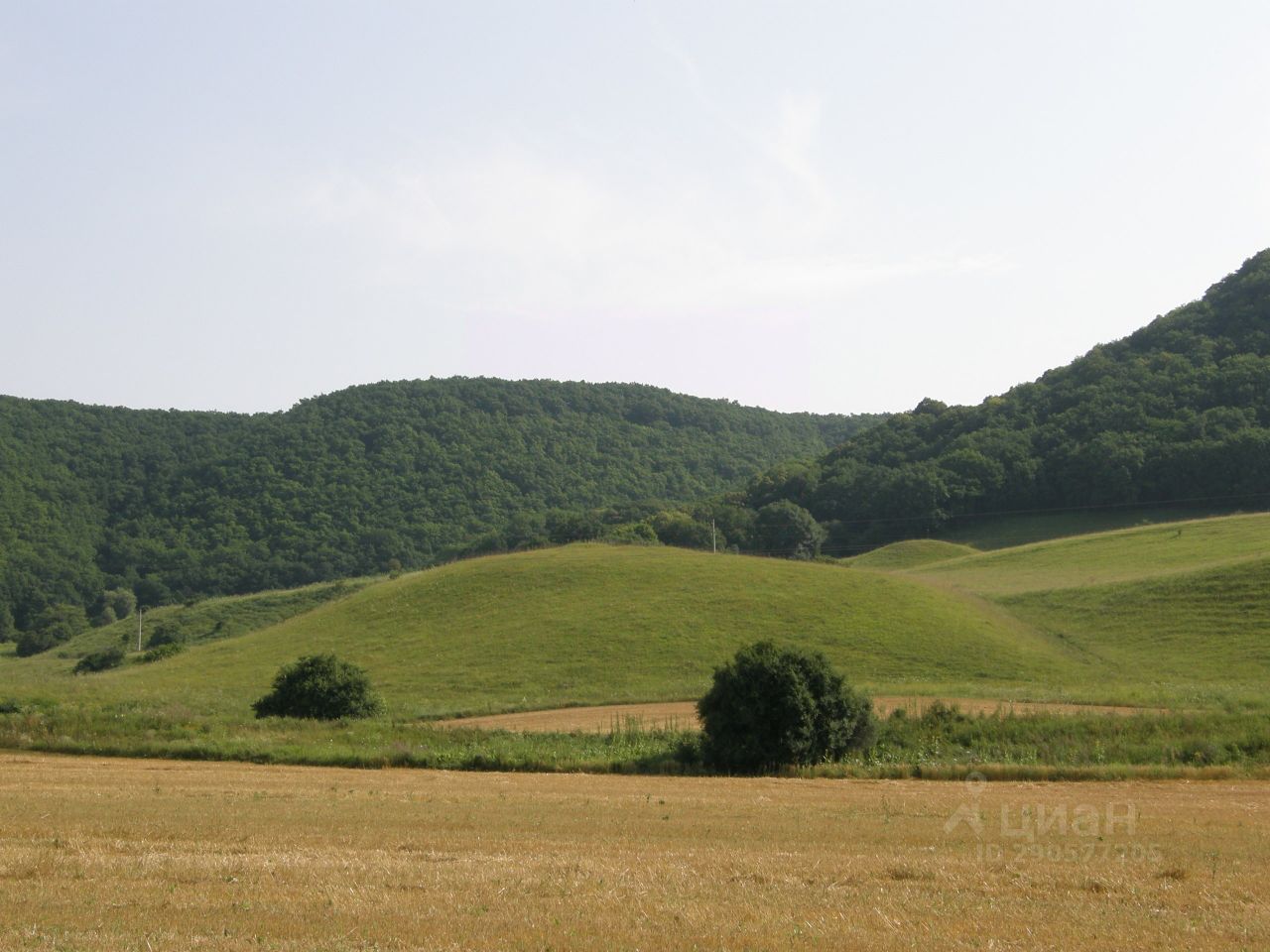 станица отважная дом (99) фото