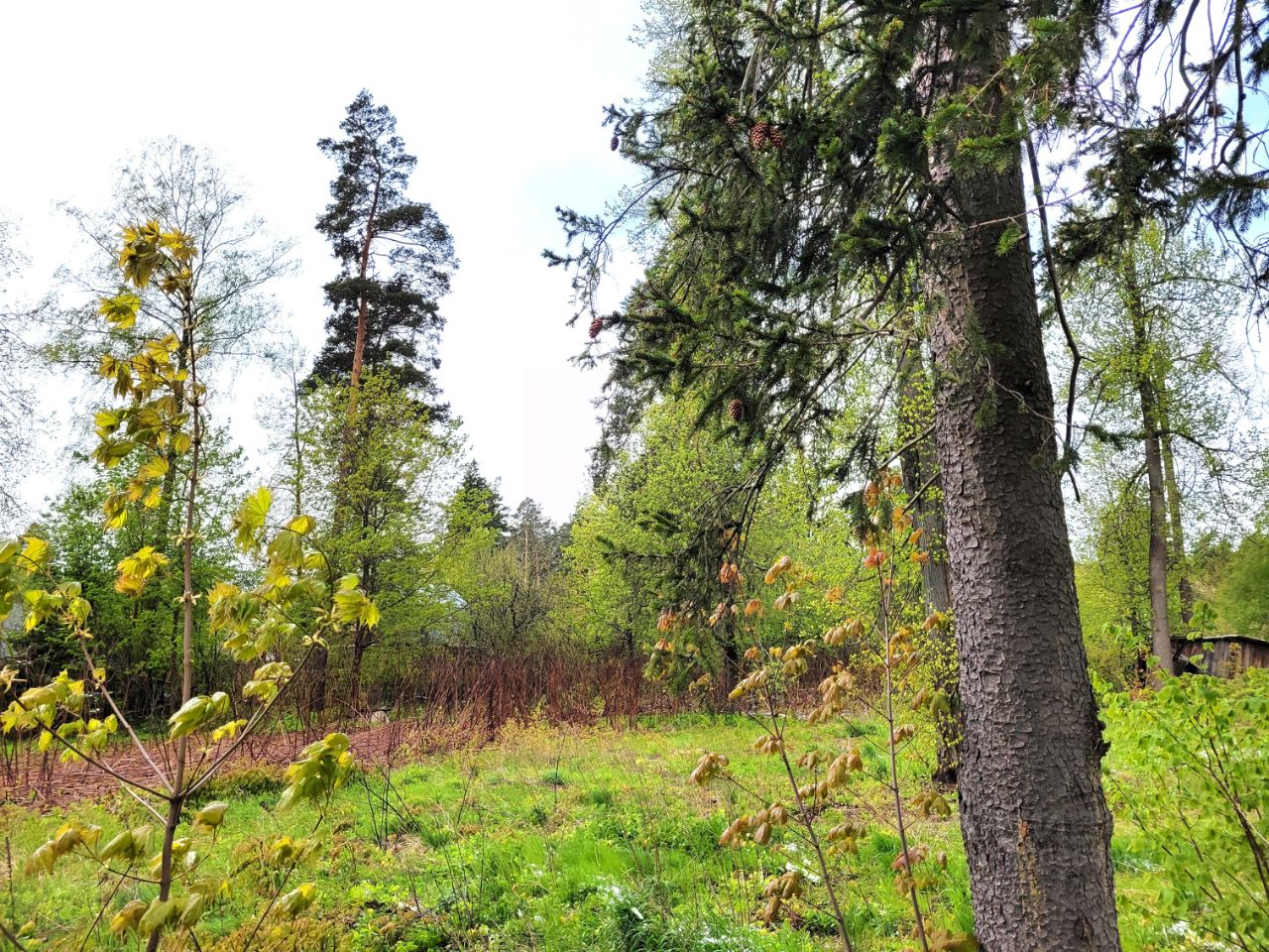 Купить загородную недвижимость на улице Краснооктябрьская в микрорайоне  Первомайский в городе Королев, продажа загородной недвижимости - база  объявлений Циан. Найдено 2 объявления