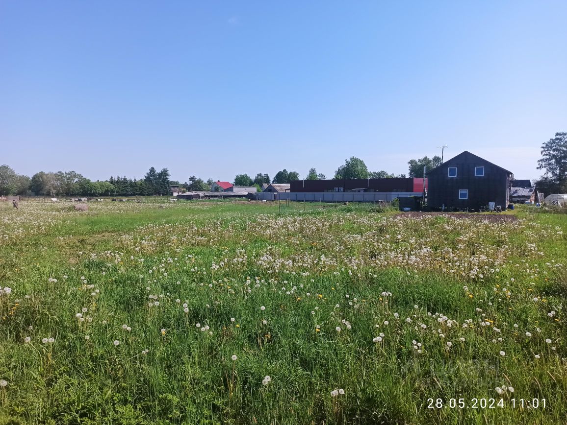 Купить загородную недвижимость в деревне Пижма Гатчинского района, продажа  загородной недвижимости - база объявлений Циан. Найдено 3 объявления