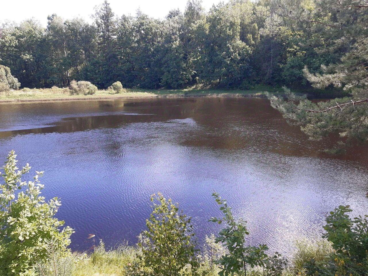 Купить загородную недвижимость в деревне Покровское Нижегородской области,  продажа загородной недвижимости - база объявлений Циан. Найдено 5 объявлений