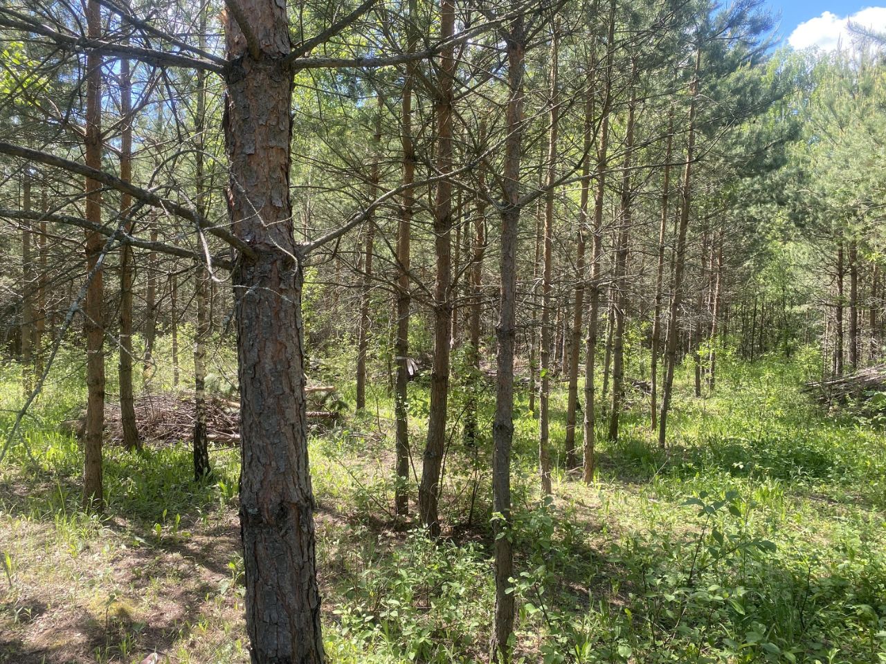 Купить загородную недвижимость в селе Покровское Заокского района, продажа  загородной недвижимости - база объявлений Циан. Найдено 3 объявления