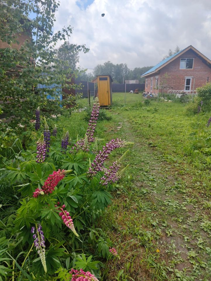 На переднем плане видны яркие цветы люпина, создающие красочный акцент в саду. За ними расположена ухоженная травяная дорожка, ведущая к дому с кирпичной фасадной отделкой и крышей с наклоном. Окна дома имеют современный дизайн, а с одной стороны виднеется веранда. Слева стоит небольшая желтая постройка, вероятно, для хранения. Общее пространство выглядит уютным и гармоничным, с элементами природы, придающими ему живописный вид.