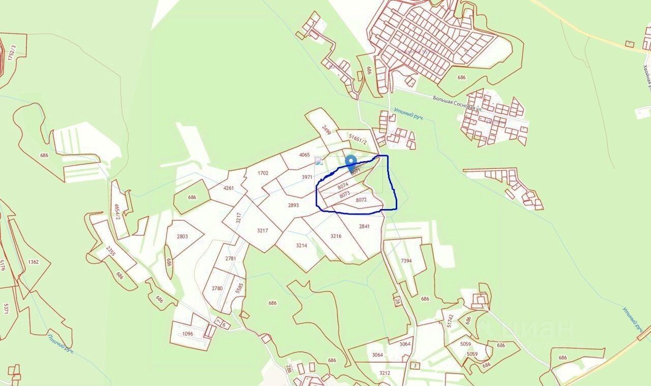 Красноозерное 3 коттеджный поселок. Днп зазеркальное. Снт омега зеленая роща выборгский. Участок полянское поселение. Участок полянское поселение.