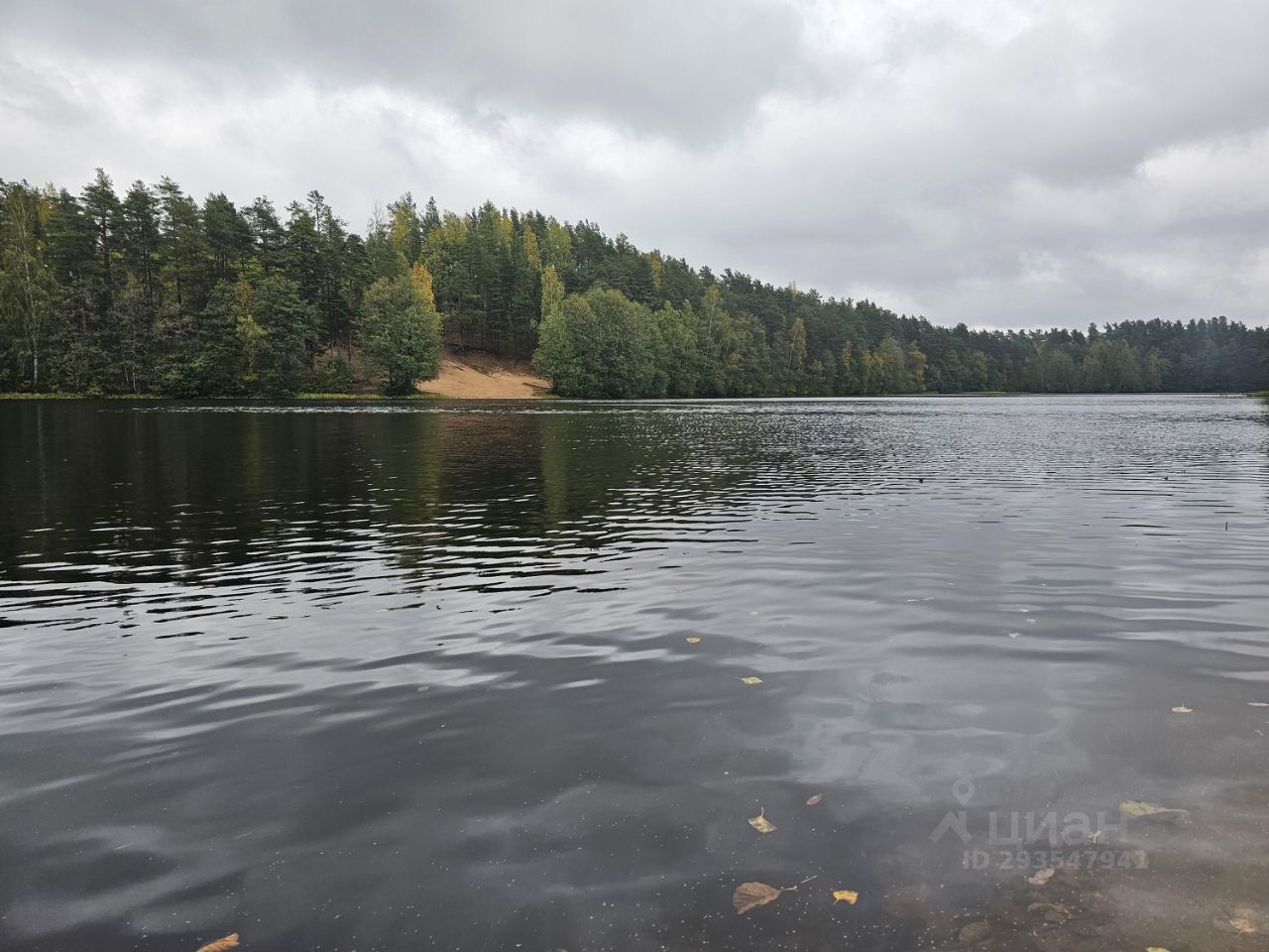 Купить загородную недвижимость в поселке Поляны Выборгского района, продажа  загородной недвижимости - база объявлений Циан. Найдено 9 объявлений