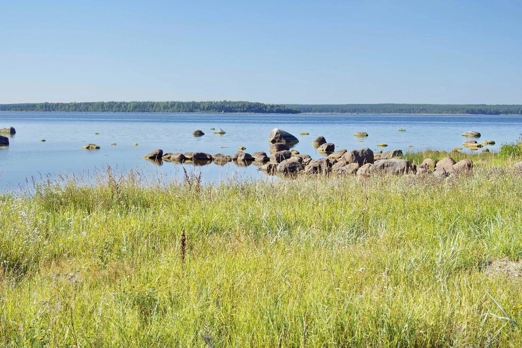 Купить Участок В Приморском Районе Спб