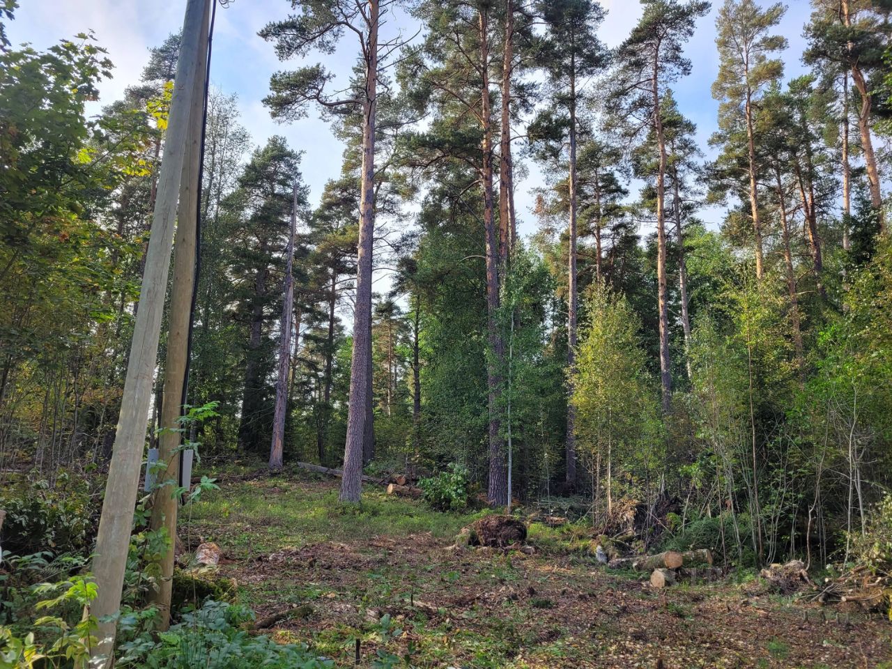 Купить загородную недвижимость на улице Березовая в городе Приозерск,  продажа загородной недвижимости - база объявлений Циан. Найдено 2 объявления