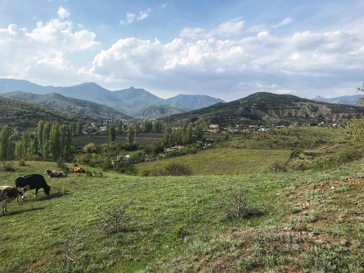 Продаю участок 15сот. Крым респ., Алушта городской округ, Приветное село -  база ЦИАН, объявление 303151079