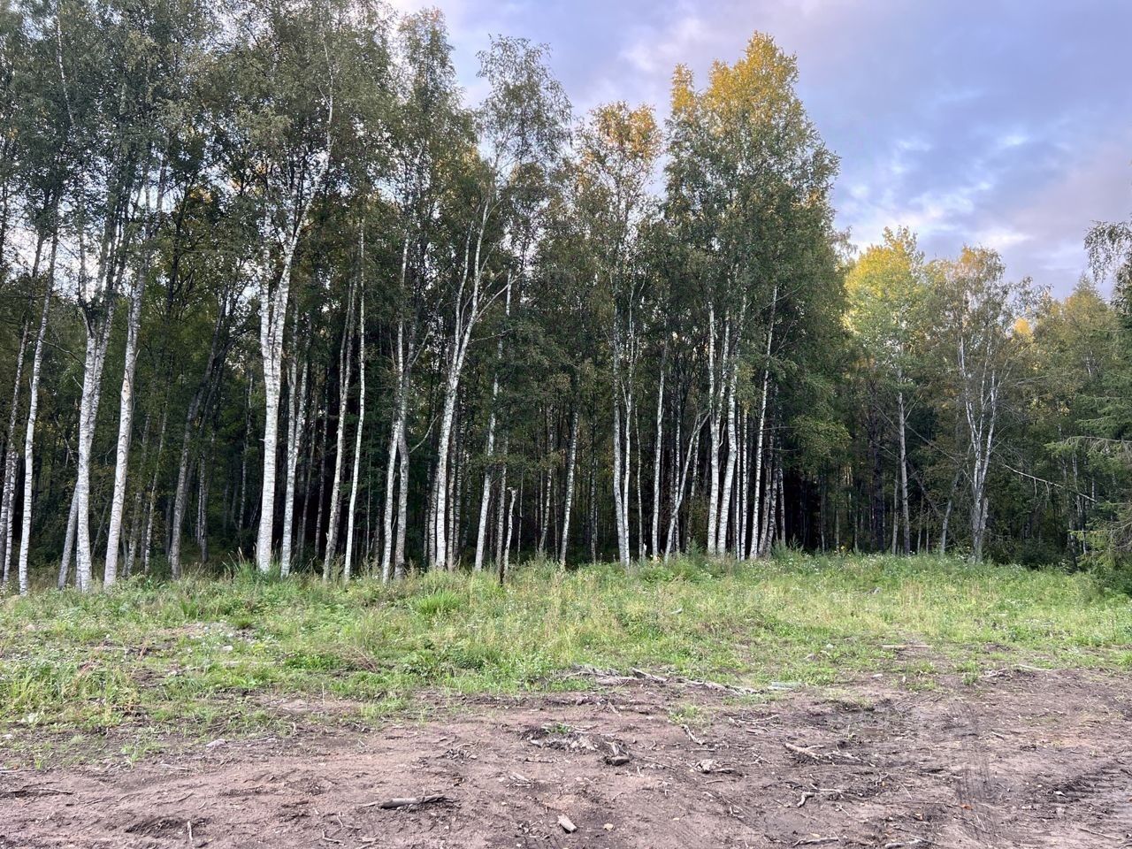 Красноозерное 3. Участок полянское поселение. Омега снт. Участок полянское поселение. Участок полянское поселение.