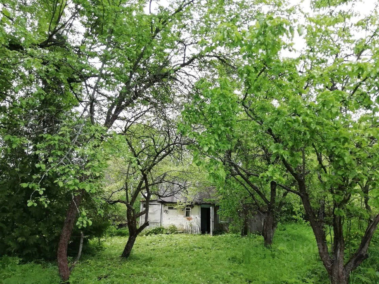 Купить участок 30 соток в Износковском районе Калужской области. Найдено 7  объявлений.