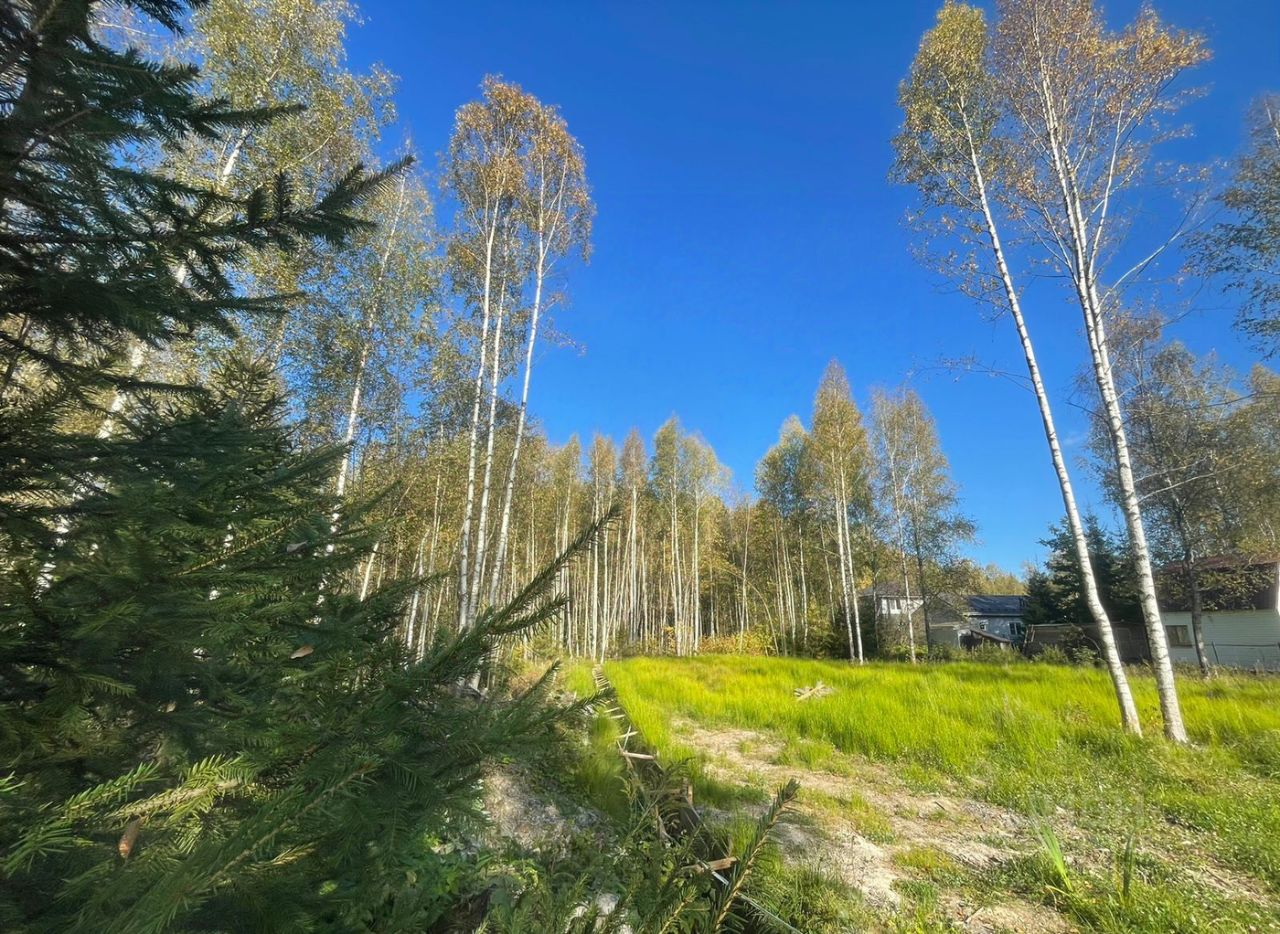 Купить загородную недвижимость в ДСК Радио в поселке НИИ Радио, продажа  загородной недвижимости - база объявлений Циан. Найдено 6 объявлений