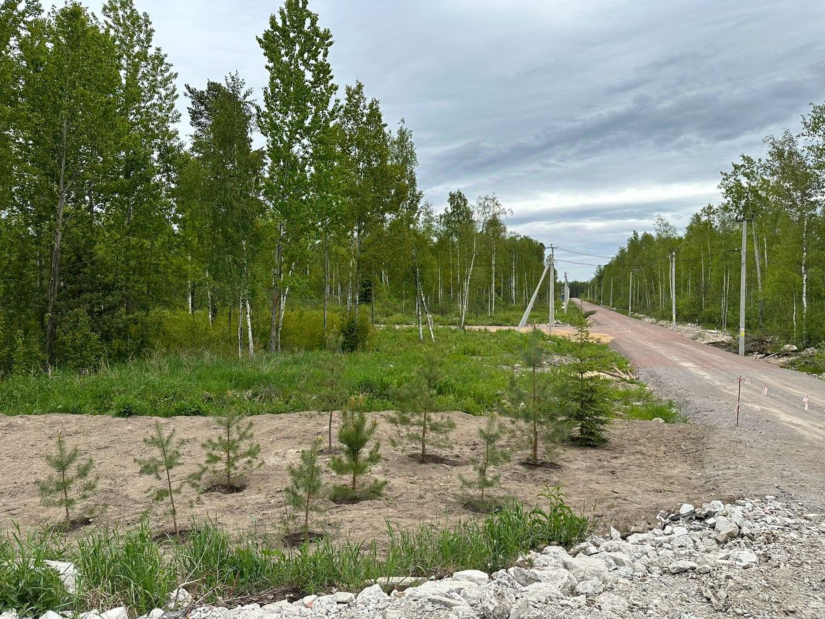 Купить загородную недвижимость на линии 4-я в СНТ Нептун в городе Новая  Ладога, продажа загородной недвижимости - база объявлений Циан. Найдено 1  объявление