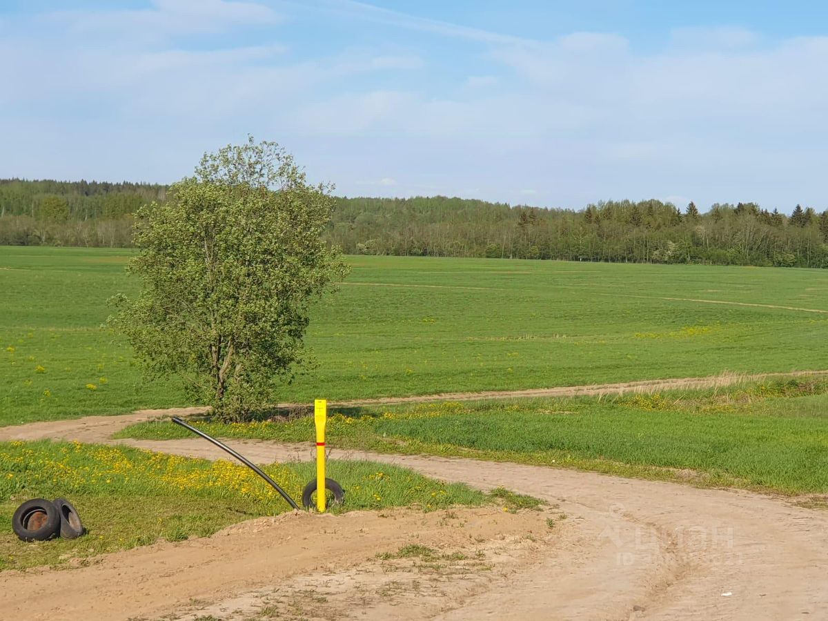 Купить земельный участок в СНТ Рапти в поселке Дзержинского, продажа  земельных участков - база объявлений Циан. Найдено 3 объявления