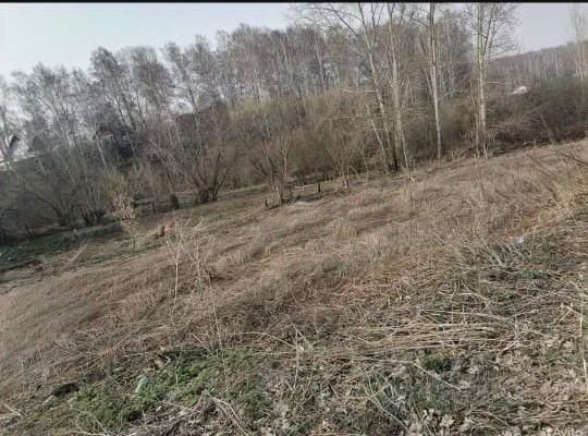 На фотографии представлено открытое пространство с участком земли, покрытым высохшей травой и кустарниками. Вдали видны редкие деревья, создающие легкую тень. Земля выглядит неухоженной, с остатками прошлогодней растительности. Площадка имеет неровный рельеф, что придает ей естественный вид. Отсутствие построек подчеркивает возможность использования данного участка для различных целей, таких как садоводство или строительство. Цвета преимущественно нейтральные, с преобладанием коричневых и зеленых оттенков, что создает спокойную атмосферу.
