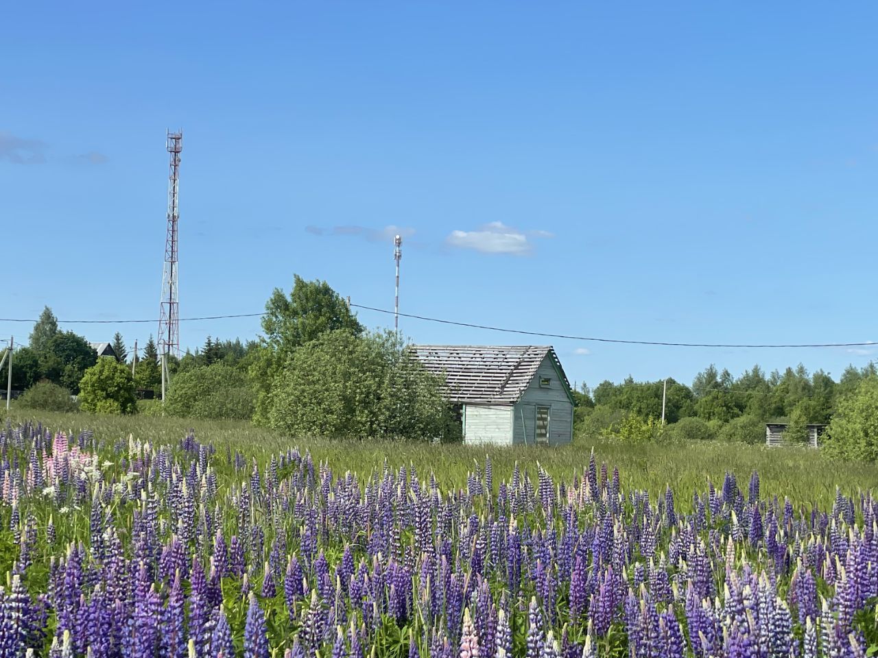 Купить участок 30 соток в городском округе Шаховской Московской области.  Найдено 18 объявлений.