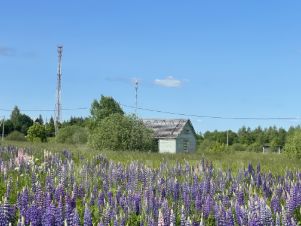 участок 30.0 сот.