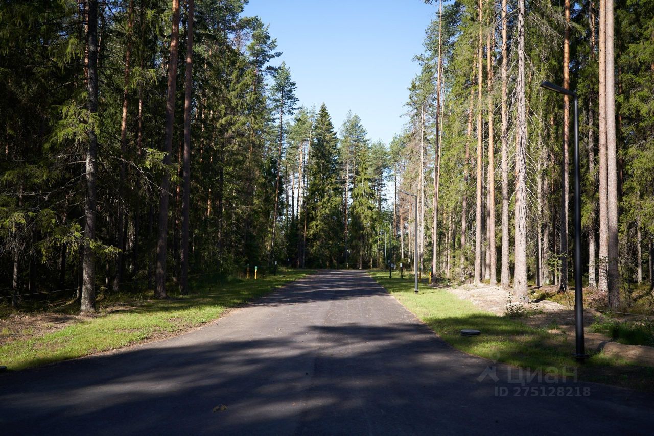 Купить земельный участок в поселке городского типа Рощино Выборгского  района, продажа земельных участков - база объявлений Циан. Найдено 56  объявлений