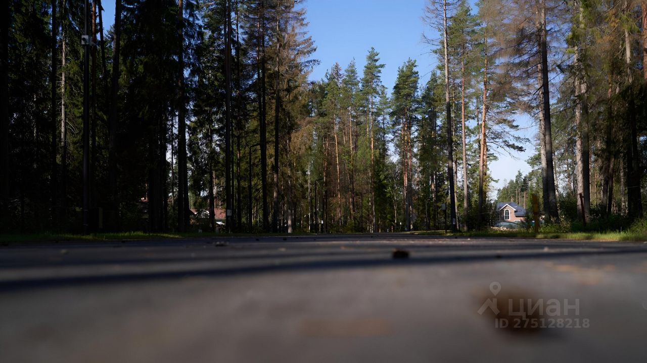 Купить дачный участок в поселке городского типа Рощино Выборгского района,  продажа участков для дачи. Найдено 58 объявлений.