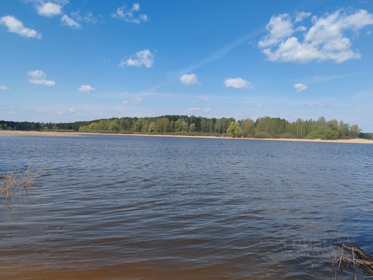 Продаю участок 6сот. Московская область, Истра городской округ, Рождествено  деревня - база ЦИАН, объявление 301454399