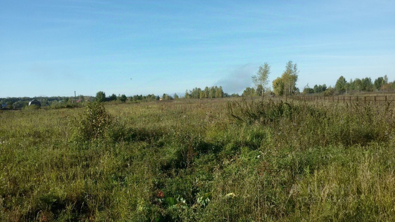 На фотографии представлено открытое пространство с густой растительностью. Виден широкий участок земли, покрытый травой и мелкими кустарниками. Цветовая палитра включает зеленые оттенки травы и коричневые тона земли. Некоторые деревья на заднем плане создают естественный контраст с травяным покровом. Отсутствие строений на изображении подчеркивает природный ландшафт. Пространство выглядит неухоженным, с разнообразными растениями, что придает ему дикий вид. В общем, это место может быть использовано для различных целей, таких как строительство или сельское хозяйство.