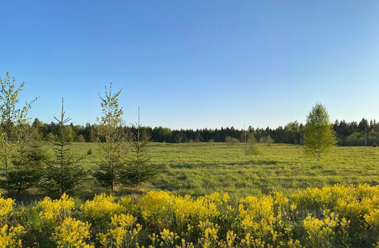 Купить загородную недвижимость в ДНП Русландия городского округа  Сергиево-Посадского, продажа загородной недвижимости - база объявлений  Циан. Найдено 3 объявления