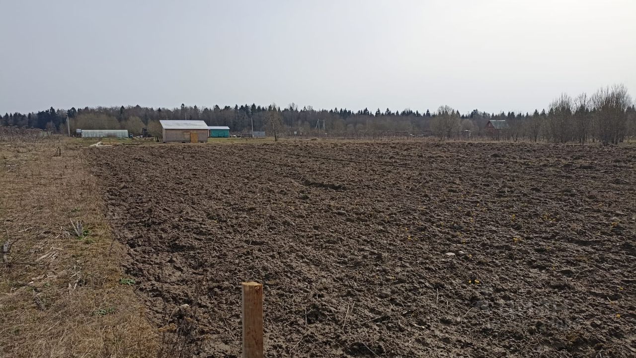 Купить участок 6 соток в Волосовском районе Ленинградской области. Найдено  7 объявлений.