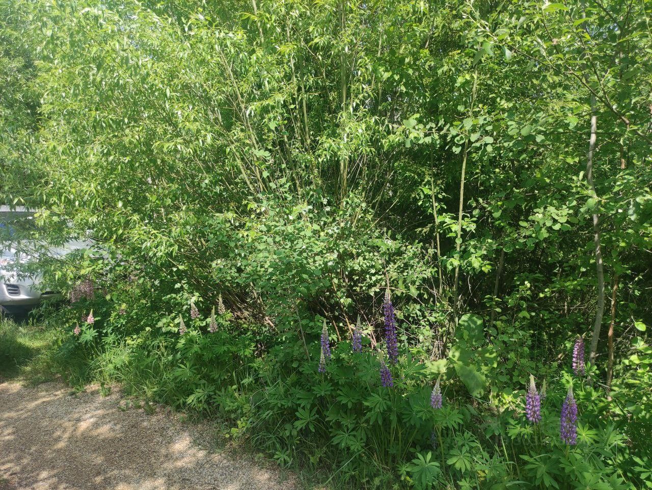 Купить загородную недвижимость в садовое товарищество Рузские Зори  городского округа Рузского, продажа загородной недвижимости - база  объявлений Циан. Найдено 2 объявления