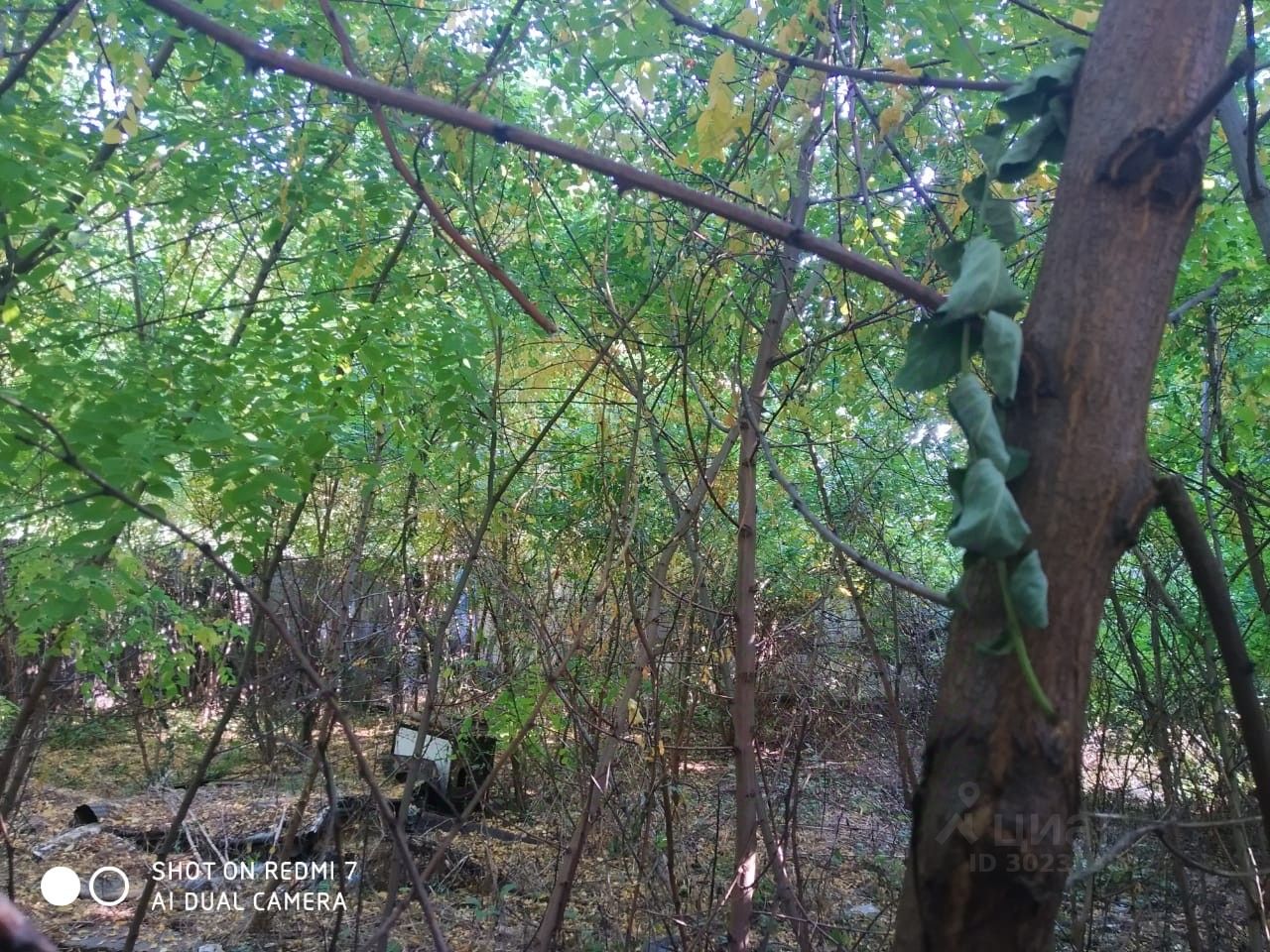 Купить земельный участок в садовое товарищество Садовод-Любитель в городе  Ростов-на-Дону, продажа земельных участков - база объявлений Циан. Найдено  23 объявления