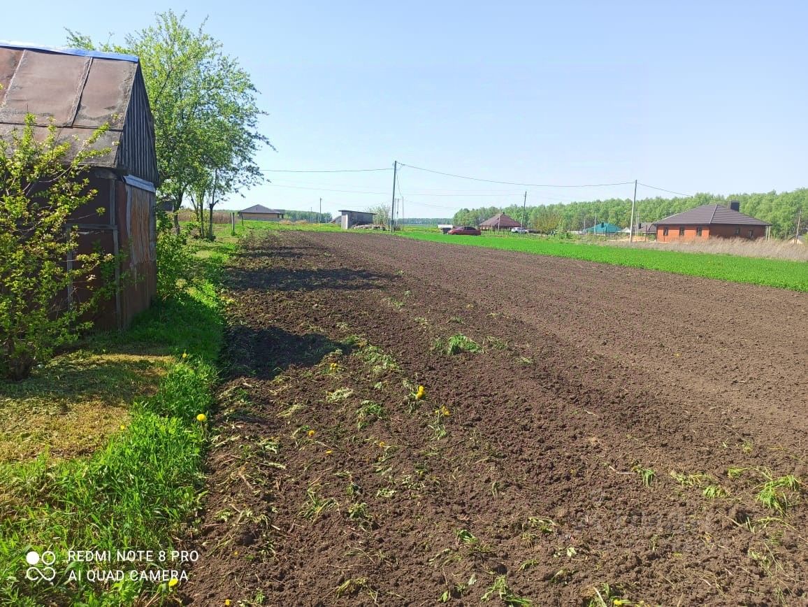 Купить земельный участок в поселке Белоберезовский Орловского района,  продажа земельных участков - база объявлений Циан. Найдено 7 объявлений